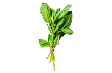 A sprig of Basil  Isolated, Transparent background.