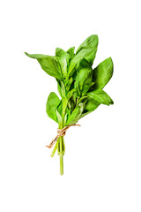 A sprig of Basil  Isolated, Transparent background.