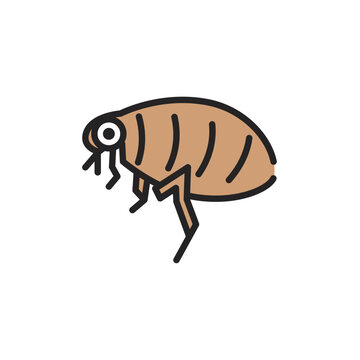 recommend clip art: ノミ