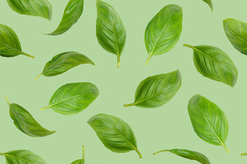 Fresh green organic basil leaves flying, isolated on green background. Creative food levitation,...