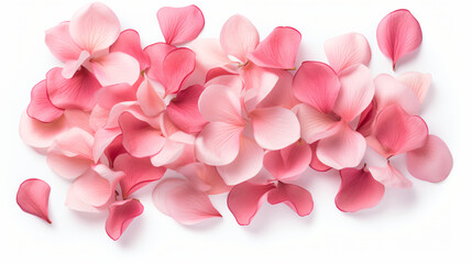 A bunch of pink petals