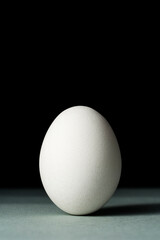 White chicken egg on black background