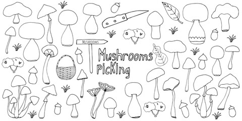 Fototapeta na wymiar Big doodle set with decorative hand drawn mushrooms. Outdoor recreation, trip to the forest, hiking, mushroom picking. Simple illustration isolated on white background. Black linear elements.
