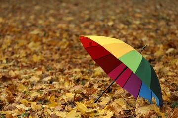Open rainbow umbrella on fallen leaves in autumn park, space for text