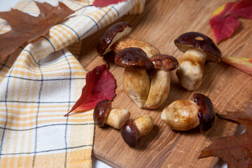 Several Imleria Badia or Boletus badius mushrooms commonly known as the bay bolete on wooden cutting board..