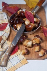 Several Imleria Badia or Boletus badius mushrooms commonly known as the bay bolete, vintage knife and pan with mushrooms on wooden cutting board..
