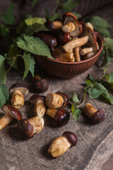 Pile of Imleria Badia or Boletus badius mushrooms commonly known as the bay bolete on vintage wooden background..