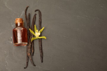 Aromatic vanilla extract, pods and flower on black table, flat lay. Space for text