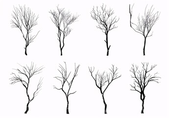 Bare Tree Silhouettes A Month-by-Month Guide to Staying Current Generative AI