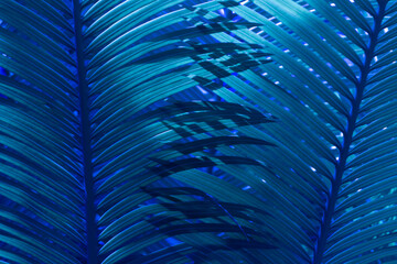 Blue colored fern detailed leaves covering in 3D look perfect as luxurious background for products