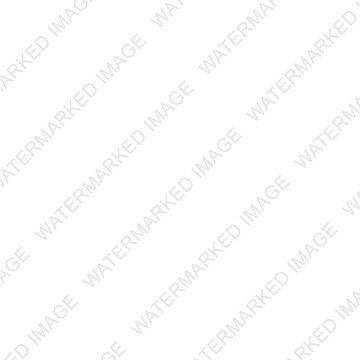 Watermarked Image watermark on a Transparent Background