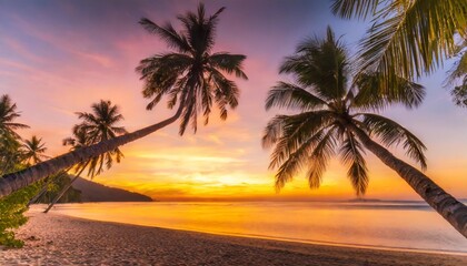 Fototapeta na wymiar best island beach silhouette palm trees panoramic destination landscape inspire sea sand popular vacation tropical beach seascape horizon orange gold sunset sky calm tranquil relax summer travel
