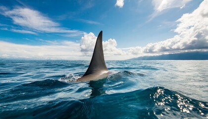 shark fin on surface of ocean agains blue cloudy sky - obrazy, fototapety, plakaty