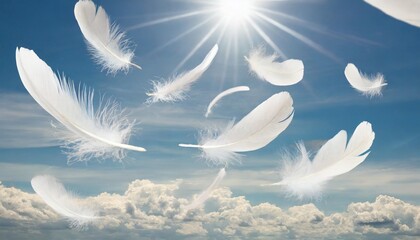 abstract white bird feathers falling in the sky feather softness floating white feathers