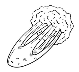 Celery cartoon hand drawn illustration. Green vegetable. Healthy nutrition. Ingredients for salad isolated on white. Black and white coloring