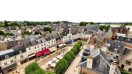 View of the city of Amboise from the castle.France.