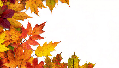Naklejka na ściany i meble Autumn leaves on white background with copy space