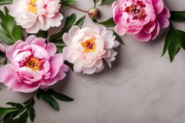 Pink Peonies on Gray Concrete Background