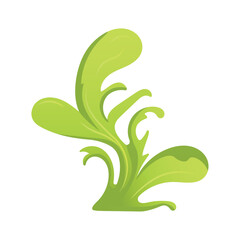 Algae of colorful set. This piece captures the essence of a colorful cartoon aesthetic, showcasing whimsical seaweed against a white background. Vector illustration.