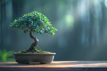 Rolgordijnen Traditional bonsai tree on a wooden oak table, calm atmosphere, minimalism, copy space. AI Generated © PHAISITSAWAN