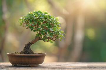 Traditional bonsai tree on a wooden oak table, calm atmosphere, minimalism, copy space. AI Generated