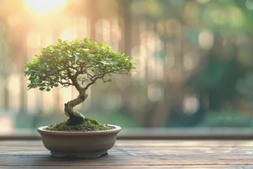 Poster Traditional bonsai tree on a wooden oak table, calm atmosphere, minimalism, copy space. AI Generated © PHAISITSAWAN