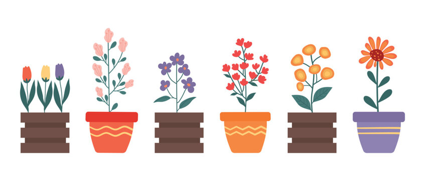 A set of beautiful cartoon different flowers in pots and flower beds of various shapes and colors. Hand drawn vector illustration