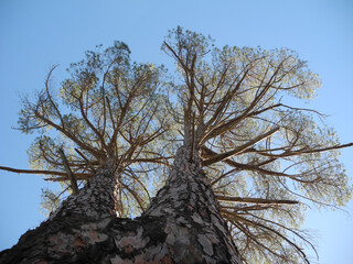 Immagini della natura in Sardegna