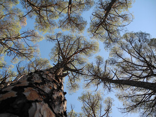 Natura di Sardegna