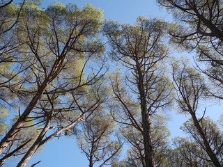 Immagini della natura in Sardegna