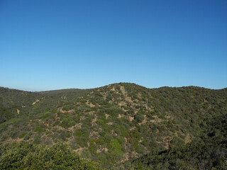 Immagini della natura in Sardegna