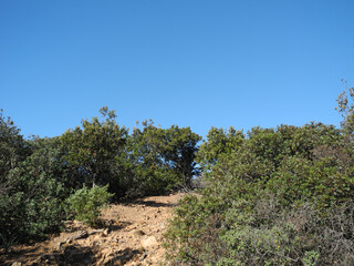 Immagini della natura in Sardegna