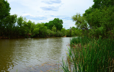 Verde River Central Arizona