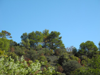 Immagini della natura in Sardegna