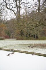 Vibrant nature in Denmark