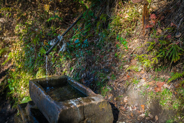 Fresh Mountain water