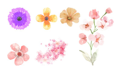 Set of Watercolor wildflowers, delicate botanical illustration pattern