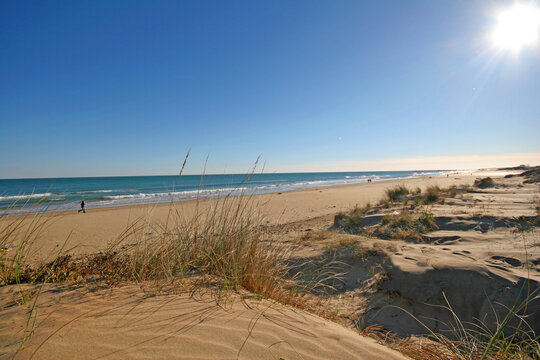 Plage de Carnon le Petit Travers, plage Montpellier, dunes, lido, espaces naturels, Languedoc Occitanie H&eacute;rault