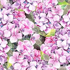 seamless pattern ornament with hydrangea flowers, watercolor on paper, female spring seasonal illustration,