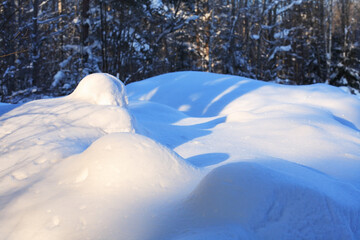 Snowdrifts In The Forest