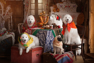 Russian style dogs