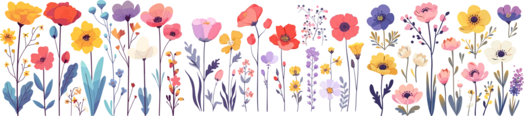 Tuinposter A vibrant panorama of stylized wildflowers and flora, artfully illustrated to bring a natural and artistic touch to any space. Modern flat vector illustrations isolated on white background © Mark