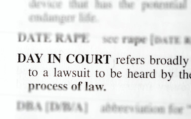 day in court