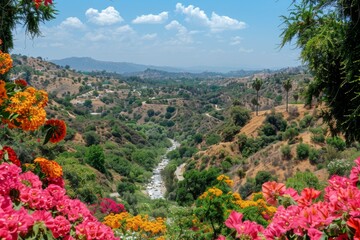 flowers in the mountain