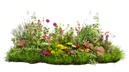 Fototapeta na wymiar garden with grass and flowers on transparent background Remove png