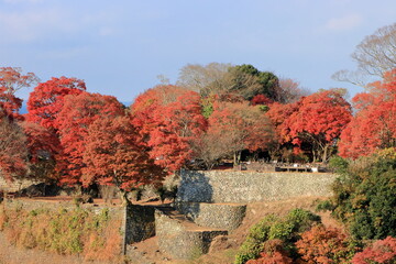 城跡の紅葉