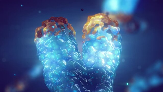 Chromosome damage and telomere maintenance animation. DNA repair and telomere extension therapy. Telomere length is affected by lifestyle and has direct impact on human health and lifespan.	