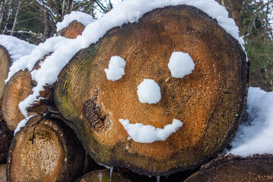 Lachender Schnee auf geschnittenen Holzstamm