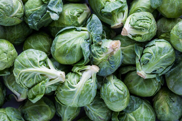 Macro close up of a pile of raw brussel sprouts. - obrazy, fototapety, plakaty