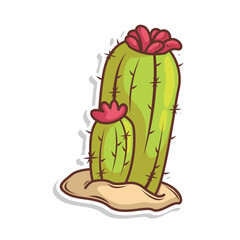 cactus doodle art illustration design